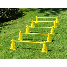 Procyon Agility Set für Hundetraining 2er Set, mehrteiliges Steckhürdenset für Koordinationstraining