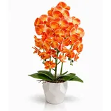 Kunstorchidee PASCH® Orchidee künstlich wie echt in Hochglanz-Keramiktopf Orchidee, PASCH, Hochglanz Keramiktopf