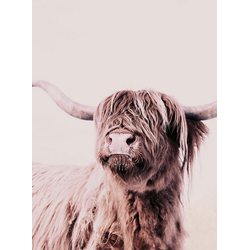 living walls Fototapete ARTist Highland Cattle, (Set, 2 St), Hochland Rind, Vlies, glatt braun