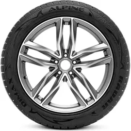Radar Dimax Alpine 195/55 R16 91H XL