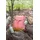 Lässig Wanderrucksack 14L - Adventure Rosa