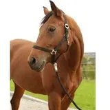 Covalliero Nylonhalfter Hippo, Cob