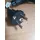 Lenovo Cable EU KR 1M 3P Non-L **New Retail**, 00XL065 (**New Retail**)