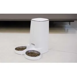 rojeco 4L Button Version (Doppelnapf)