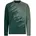 Herren VI LS Radtrikot Größe L gruen