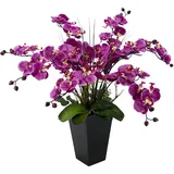 I.GE.A. Orchidee im Topf