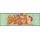 Wash+Dry Funky Fish 60 x 180 cm Mehrfarbig
