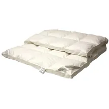 Betten Hofmann TRAUM Daunenbett Daunendecke Bettdecke Kassette 6x7 240x220 cm 100% neue Daunen