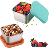 Fentar 2stk Gefrierdosen Klein, 200ml Snackbox Edelstahl Dosen mit Deckel, Süße Snackdose, BPA-frei Beikost Einfrieren Behälter, Lecksicher Mini Dosen zum Einfrieren für Babybrei Dipsauce Snacks