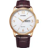 Citizen Leder 42 mm BM8553-16AE