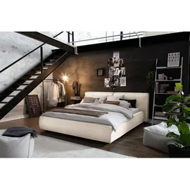 KAWOLA Bett CARLO Polsterbett Stoff cremeweiß 200x200cm