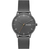 Skagen Riis Edelstahl 40 mm SKW6884