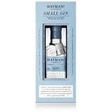 Hayman's Small Gin 43% Vol. |Weniger Alkohol |Intensiver Geschmack durch konzentrierte Botanicals| Hayman's of London| 5ml ausreichend für einen Gin&Tonic|Weniger Kalorien| IWSC Gold Award 2020|200ml