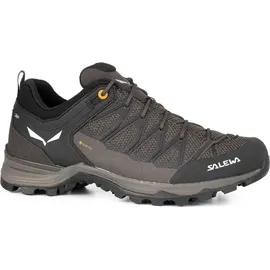 Salewa Mountain Trainer Lite GTX M wallnut/fluo orange 40