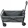 ic gardenworld Bollerwagen faltbar grau