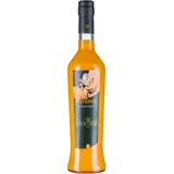 santesi Crema di Melone 0,5 l