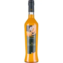 santesi Crema di Melone 0,5 l