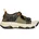 Olive 43