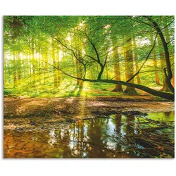 Küchenrückwand ARTLAND "Wald mit Bach", grün, B:60cm H:50cm, Aluminium, Spritzschutzwände, Alu Spritzschutz mit Klebeband, einfache Montage