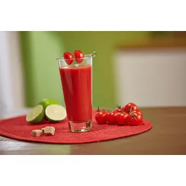 Gorenje JC4800VWY Slow Juicer 200 Watt, Edelstahl