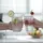 Philips GoZero strahlendes weiß + PET-Flasche + Zylinder