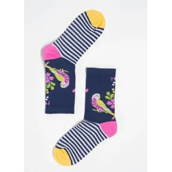 Blutsgeschwister Baumwollsocken Sensational Steps Lot - budgie buddies socks