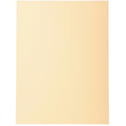 Exacompta 100er Packung Aktendeckeln aus Recycling Karton 220g Forever, 24x32cm