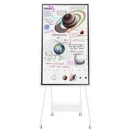 Samsung Flip Pro WM55B 55" Solo