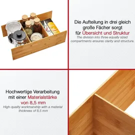 SOTech Schubladeneinsatz ORGA-BOX 473 x 273 x 145 mm