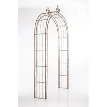 CLP Rosenbogen Sun 1 St. 1er 1,00 x 2,20 x 0,50 cm Braun