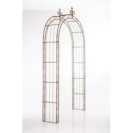 CLP Rosenbogen Sun 1 St. 1er 1,00 x 2,20 x 0,50 cm Braun
