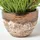 Homescapes KUNSTPFLANZE Lavendel rosa 66 cm