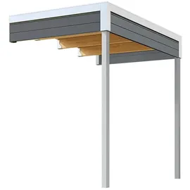 Weka Gartenhaus-Anbaudach Felix_Fynn 2 Anbau 150 x 250 cm Grau