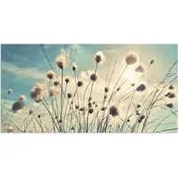 ARTland Artland, Wollgras T2GI (100 x 50 cm)