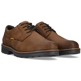 CAMEL ACTIVE Herren Braun 43