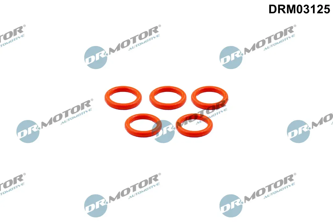 DR.MOTOR AUTOMOTIVE Dichtring drm03125 für Volvo STEYR DAF Iveco Mercedes