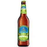 Einsiedler Maibock Zwickel 20x0,50L