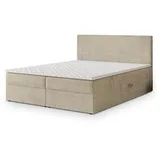 masseno NIRA 160 x 200 cm Creme