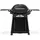 Weber Q 3200N+ mit Rollwagen black