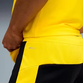 Puma Borussia Dortmund Shorts 2025/26 schwarz Herren Gr. M