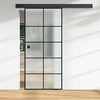 Globus Ambiente Glas-Schiebetür Black Satinato Dekor S 76/20 ESG