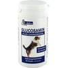 Glucosamin+Chondroitin für Hunde 60 St.