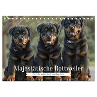 Calvendo Majestätische Rottweiler: Ein Jahr voller Kraft und Loyalität