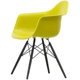 Vitra - Eames Plastic Armchair DAW RE, Ahorn schwarz / senf (Filzgleiter basic dark)