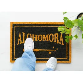 Erik Editores Alohomora 60 x 40 cm