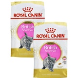 Royal Canin Kitten British Shorthair 2 x 10 kg