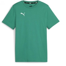 Puma Teamgoal Casuals Tee Jr T-Shirt, Sport Green-puma White, 152