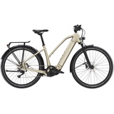 Diamant Zouma Deluxe+ - Trapeze Elektro City Bike | alvitgrau metallic - S