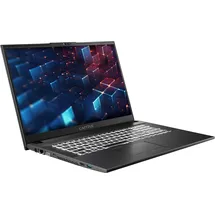 CAPTIVA Power Starter I98-974GE 17,3'' Intel Core i5-1335U 16 GB RAM 1 TB SSD Win11 Pro