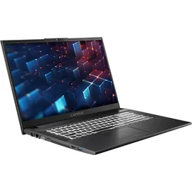 CAPTIVA Power Starter I98-974GE 17,3'' Intel Core i5-1335U 16 GB RAM 1 TB SSD Win11 Pro